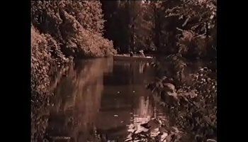 Nude Pics Of Nikki Bella